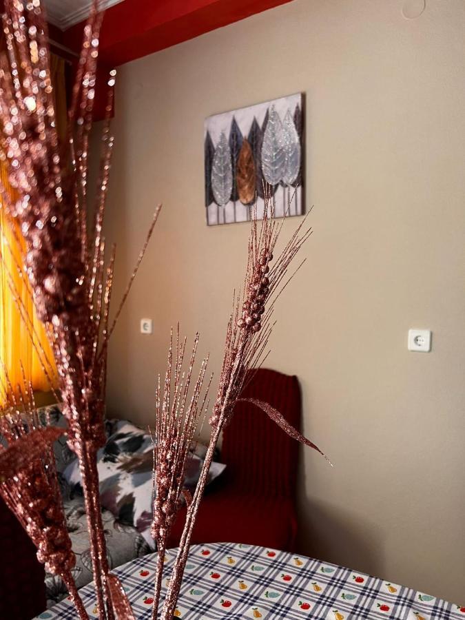 Teo'S House 3 Apartment Калампака Екстериор снимка