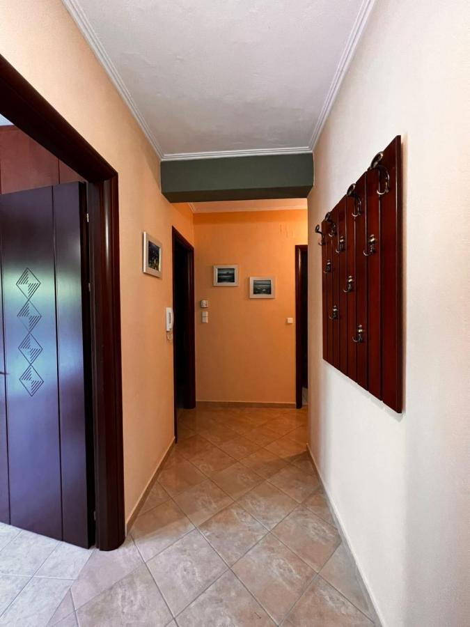 Teo'S House 3 Apartment Калампака Екстериор снимка